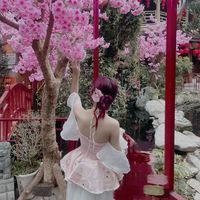 nhạc nền - Thiênn lý💗