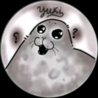 yuki_the_seal