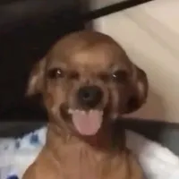 original sound - mrcoz.idro