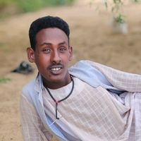 hamed.faki53