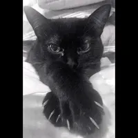 original sound - ismmyll