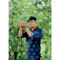 mr_towfik