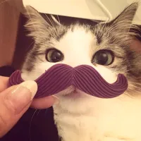 original sound - valentineeparker