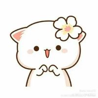yang.lor3