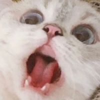 오리지널 사운드 - 이부