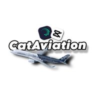 cat_aviation