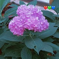 user51108452927