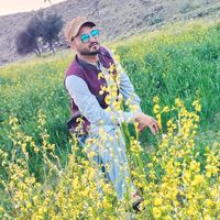 shahidjani247