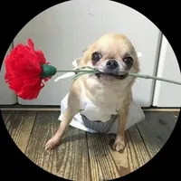 original sound - virgoth01