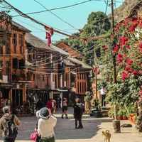 beautyofbandipur