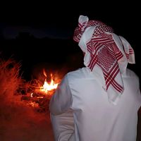 الصوت الأصلي