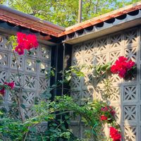 nhạc nền - Voi con tham ăn