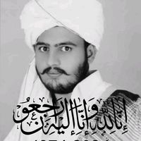 shaheedaligillani1