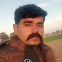 user1731139152637