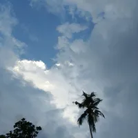 original sound - lisa.febrianti48