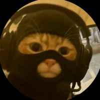 abrasam_29