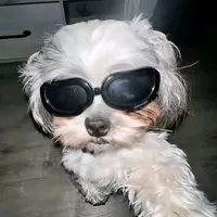 original sound - john.razel.redge1