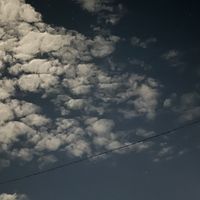 thj_24