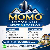 momo_immobilier