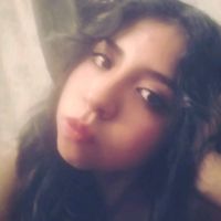 meztlimlb