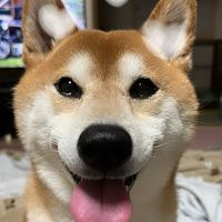 オリジナル楽曲 - yumi