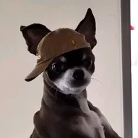 original sound - sukinasi1