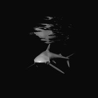 សំឡេងដើម - TheMusic 🎶