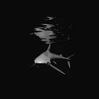 original sound - thesongkalipykpdory