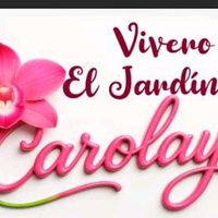 carolaynalmonte