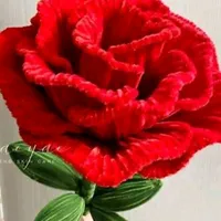 original sound - renu.20052