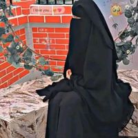 নিজস্ব শব্দ