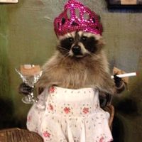 မူရင်းအသံ - @TIN