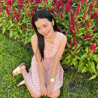 c_mainoi
