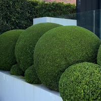 frameitlawnsandgardens