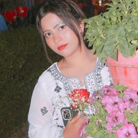 user231084335