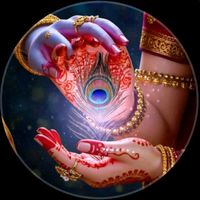 anjalishah8738