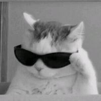 user12235567885