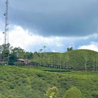 suara asli - Miaaa78