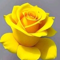 សំឡេងដើម - korng 555🌹