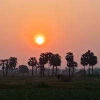 original sound - user9051563262131