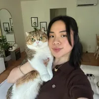 original sound - phoebe.thescottishfold