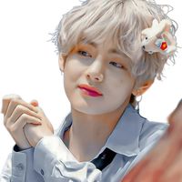 kim_taesa988