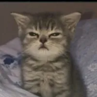 original sound - irysik_star