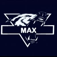 max.for.car.accessories