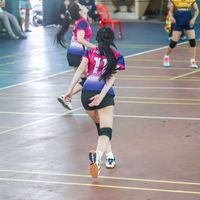 pannipa_2542
