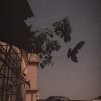 original sound - juttkijan548