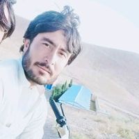 habibbazaipti