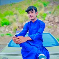 alijanleghari605