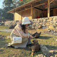 nhạc nền - Phương thích đi chơi ✈️