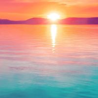 原声 - Jo-Collector